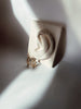 Fruit Earring